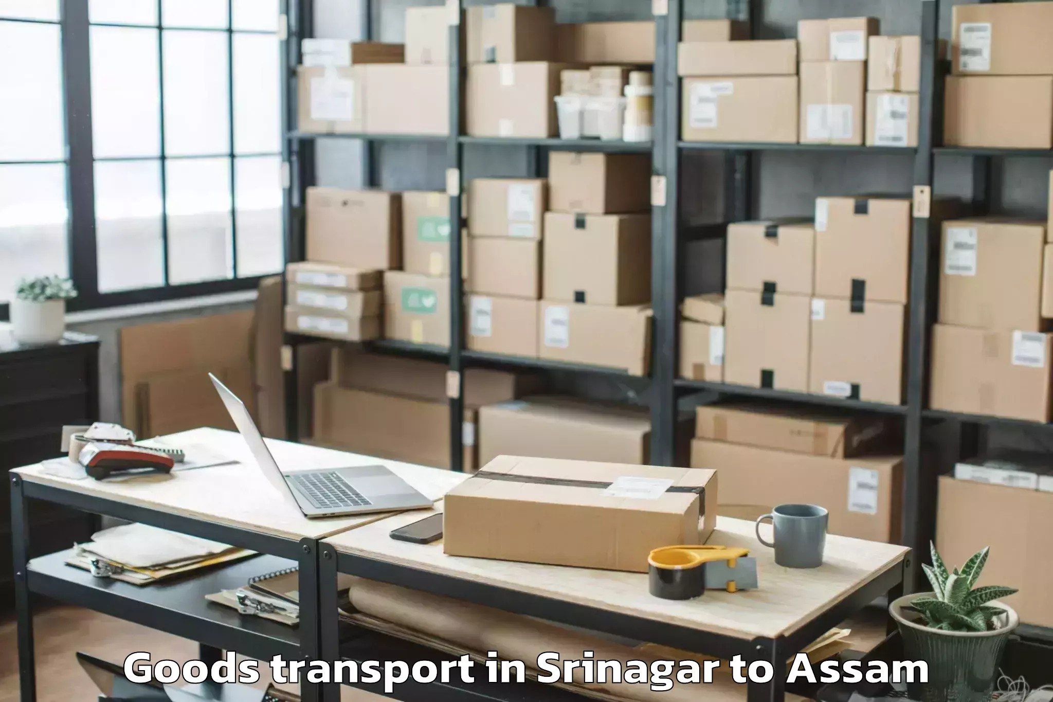 Affordable Srinagar to Bihpuria Goods Transport